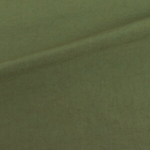 n MoW VbV[ iSB2009j 5.I[uO[ 09Ae99_