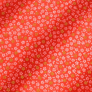 k[֑Ήil߂񐶒n FT i121180j 5122.F 09Bh18_