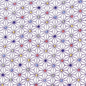 k[֑Ήil߂񐶒n FT ̗ti121150j 5175. 09Bh18_