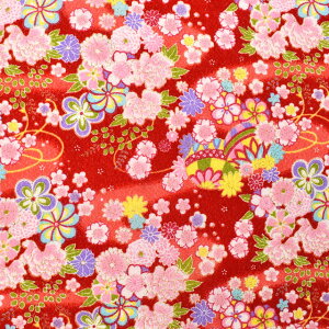 �k���[���֑Ή����i�l����߂񐶒n ���F�T �ԟ{�i121180�j 5402.��F 09Bh18_