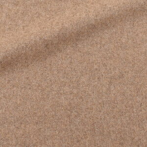 E[n TOPgi1294108j 613.CguE 09Cs41_