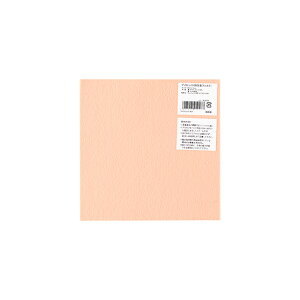 TtFg ACڒtFg 15cmp RN-27 06Bk99_