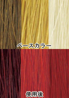 楽天市場 ヘアカラー エンシェールズカラー カラーバター ガーネットレッド H 2aj 新宿オカダヤ楽天市場店