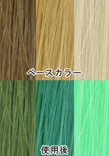 楽天市場 ヘアカラー Cureカラートリートメント カラーバター アイスミントグリーン H 2aj 新宿オカダヤ楽天市場店