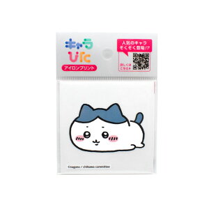 L҂  ACvgV[giCK-A-202307-mij ~jTCY 2.n` 08Bf99_