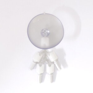 h[p ip[c ʂXPg STCY 06Ab99j