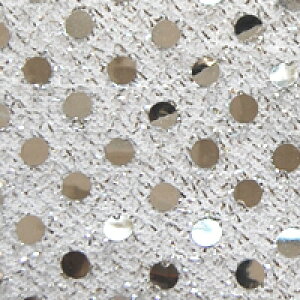 生地 スパンラメジャージミニ(899) 1.白×シルバー 10Ad06_