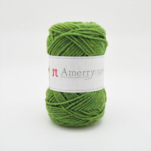 ю n}iJ A[ F13 06Co99_