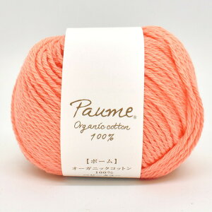 n}iJ |[ xr[J[ F305 06Co99_