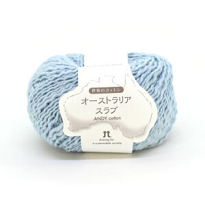 手編み糸 ハマナカ オーストラリアスラブ 色番207 (M)_b1_