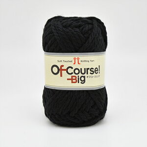 ю n}iJ ItR[XIrbO F110 06Co99_