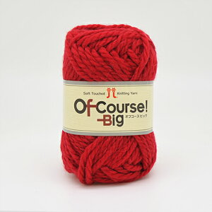 ю n}iJ ItR[XIrbO F112 06Co99_