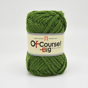 ю n}iJ ItR[XIrbO F113 06Co99_