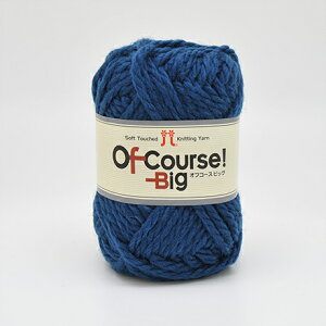 ю n}iJ ItR[XIrbO F117 06Co99_