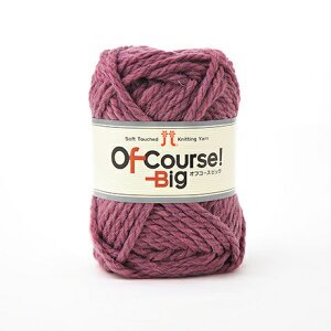 ю n}iJ ItR[XIrbO F118 06Co99_