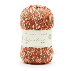 ю West Yorkshire Spinners-EGXg[NV[Xsi[Y- Signature 4plyEVOl`[4vC 1109.Gingerbread 06Co99_