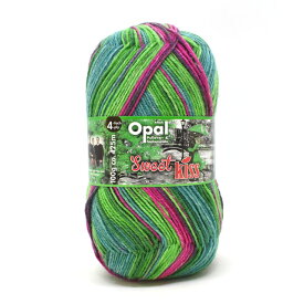 毛糸 Opal-オパール- スイートキス 4ply/4本撚り 11262.緑の傘 (M)_b1j