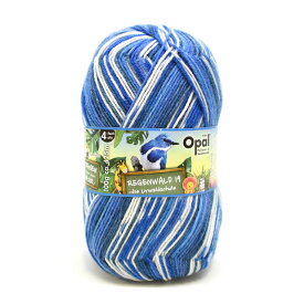毛糸 Opal-オパール- レーゲンヴァルト19 4ply/4本撚り 11333.ウィリバルト (M)_b1j