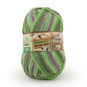 ю Opal-Ip[- V[tp[e17 4ply/4{Q 11592.ǂ񂮂̐X 06Co99j