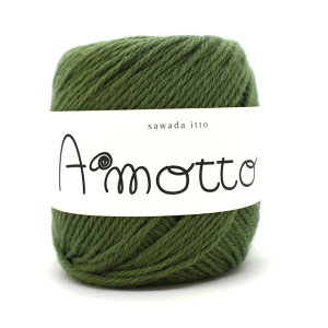 �ю� sawada itto Amotto�E�A���b�g�iSWXXXX036�j 13.�J�[�L�[ 06Co99_