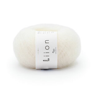 _Ԍ10%OFF^ ю sawada itto Liion [IiSWXXXX114j 99B.Xm[zCg 06Co99_