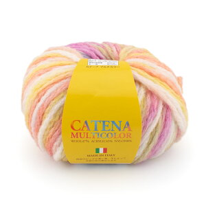 _Ԍ10%OFF^ ю XL[ Je[i}`J[ F801 06Co99_