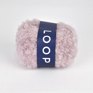 ю _}icj LOOP 4.[ 06Co99_