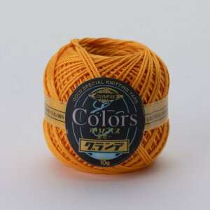 [X IpX G~[Of J[Y F555 06Bn99_