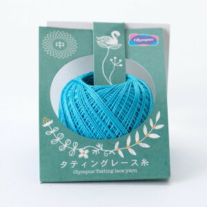 �I�����p�X �^�e�B���O���[�X�� �� �F��T214 06Bn99_