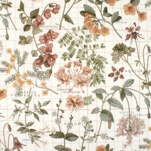 _Ԍ|Cg15{^ k[֑Ήil n LIBERTY FABRICS oeBEt@ubNX ^i[ 2024AW THE CURATED FLORAL Botanist's Journey {^jXgYEW[j[i24-3634234j 24BU.uE