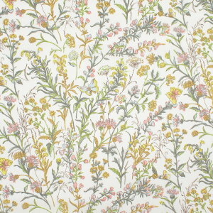 k[֑Ήil n LIBERTY FABRICS oeBEt@ubNX ^i[ 2024AW Native Flowers BUTTERFLY MEADOW o^tCEhDi24-363J4226j 24DU.CG[ 09Ac03j