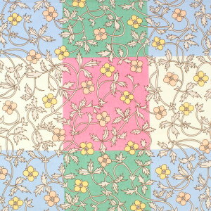 �k���[���֑Ή����i�l ���n LIBERTY FABRICS ���o�e�B�E�t�@�u���b�N�X �^�i���[�� 2025SS Retold 150th Anniversary Collection Rosita Check ���W�[�^�E�`�F�b�N�i25-3635126�j 25CU.�p�X�e�� 09Ac03j