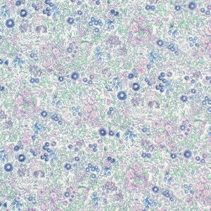 k[֑Ήil n LIBERTY FABRICS oeBEt@ubNX I[KjbN^i[ 2025AW Callaghan Garden JnEK[fi25-157J928j 25BU.u[ 09Ac03j