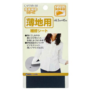 CAPTAIN88 ���n�p��C�V�[�g�iCP214�j 2.�� 08Bd99_