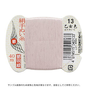 sH ʂ 9 J[h 40m 13.F 08Ab99_