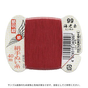 sH ʂ 9 J[h 40m 99.CV 08Ab99_