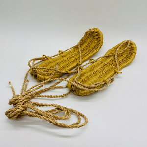 nCubh炶fށFܕ rj[@@@R VRtBATCYFTCŶ݁@@@@S23.5 :7(ő)