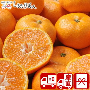 Ε  2025 yΕ  Ynza̎RY Lc݂ 2.5kg 85150 |N   t[c Y ʕ Lc݂ lߍ킹 Hו Hi NX}X  A