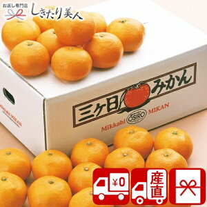 Ε  2025 yΕ  YnzÉY O݂ 2.5kg 85153 |N   t[c Y ʕ OP ݂ ݂т݂ lߍ킹 Hו Hi N