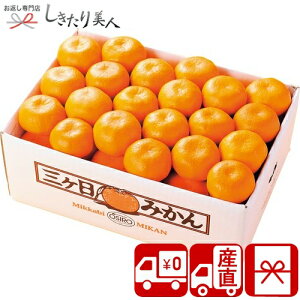 Ε  2025 yΕ  YnzÉY O݂ 4kg 85154 |N   t[c Y ʕ OP ݂ ݂т݂ lߍ킹 Hו Hi N