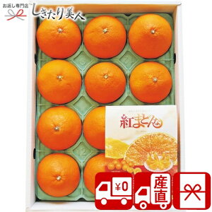 Ε  2025 yΕ  YnzQY g܂ǂ 85155 |N   t[c Y ʕ ݂ g}hi lߍ킹 Hו Hi NX}X  A