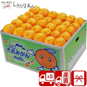 Ε  2025 yΕ  YnzR哇݂ G 85156 |N  ~Mtg  t[c Y ʕ 哇݂ lߍ킹 Hו Hi NX}X AȓyY 