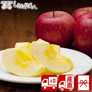 Ε  2025 yΕ  Ynz݉̎R`YTӂ 2kg 85157 |N   t[c Y ʕ ь  lߍ킹 Hו Hi NX}X 