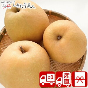 Ε  2025 yΕ  Ynz挧Y H 3.5kg 85161 |N  ~Mtg  t[c{bNX Y  H Ȃ ʕ lߍ킹 Hו Hi NX