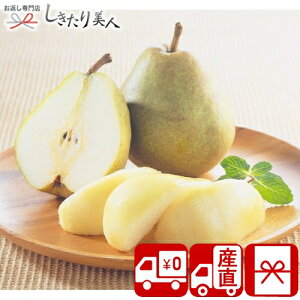 Ε  2025 yΕ  Ynz݉̎R`YEtX 2.5kg 85162 |N  Mtg  t[c Y ʕ m tX Hו Hi NX}X