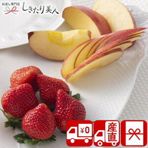 Ε  2025 yΕ  YnzƃTӂ 85163 |N  ~Mtg  t[c{bNX ь   ӂ Y ʕ lߍ킹 Hו H