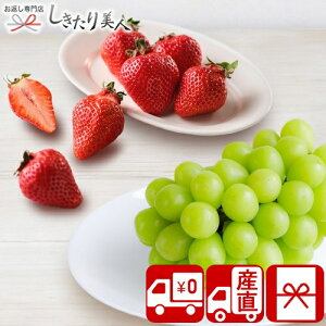 Ε  2025 yΕ  YnzVC}XJbgƂ 85165 |N   t[c{bNX  uhE }XJbg Y ʕ lߍ킹 Hו Hi 