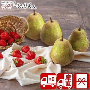 Ε  2025 yΕ  YnzEtXƂ 85166 |N  ~Mtg  t[c{bNX  m EtX Y ʕ lߍ킹 Hו H