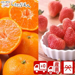 Ε  2025 yΕ  YnzƂ݂ 85167 |N  ~Mtg  t[c{bNX   ݂ Y ʕ lߍ킹 Hו Hi NX}X 