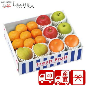 Ε  2025 yΕ  Ynz~̏{ʋl 85173 |N   t[c{bNX m ь  ݂ Y ʕ lߍ킹 Hו Hi NX}X 